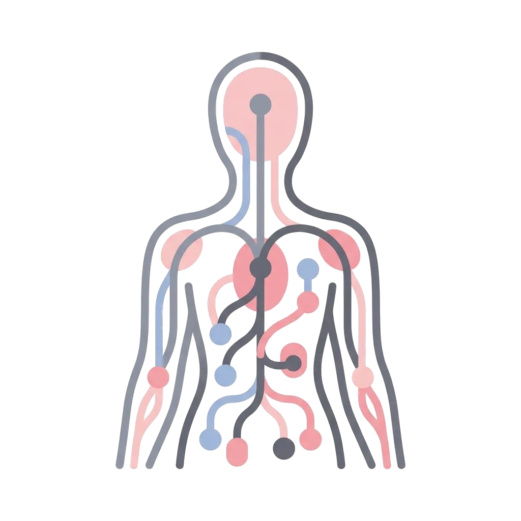 Abstract diagram of a body with nerve pathways, illustrating how arousal builds gradually